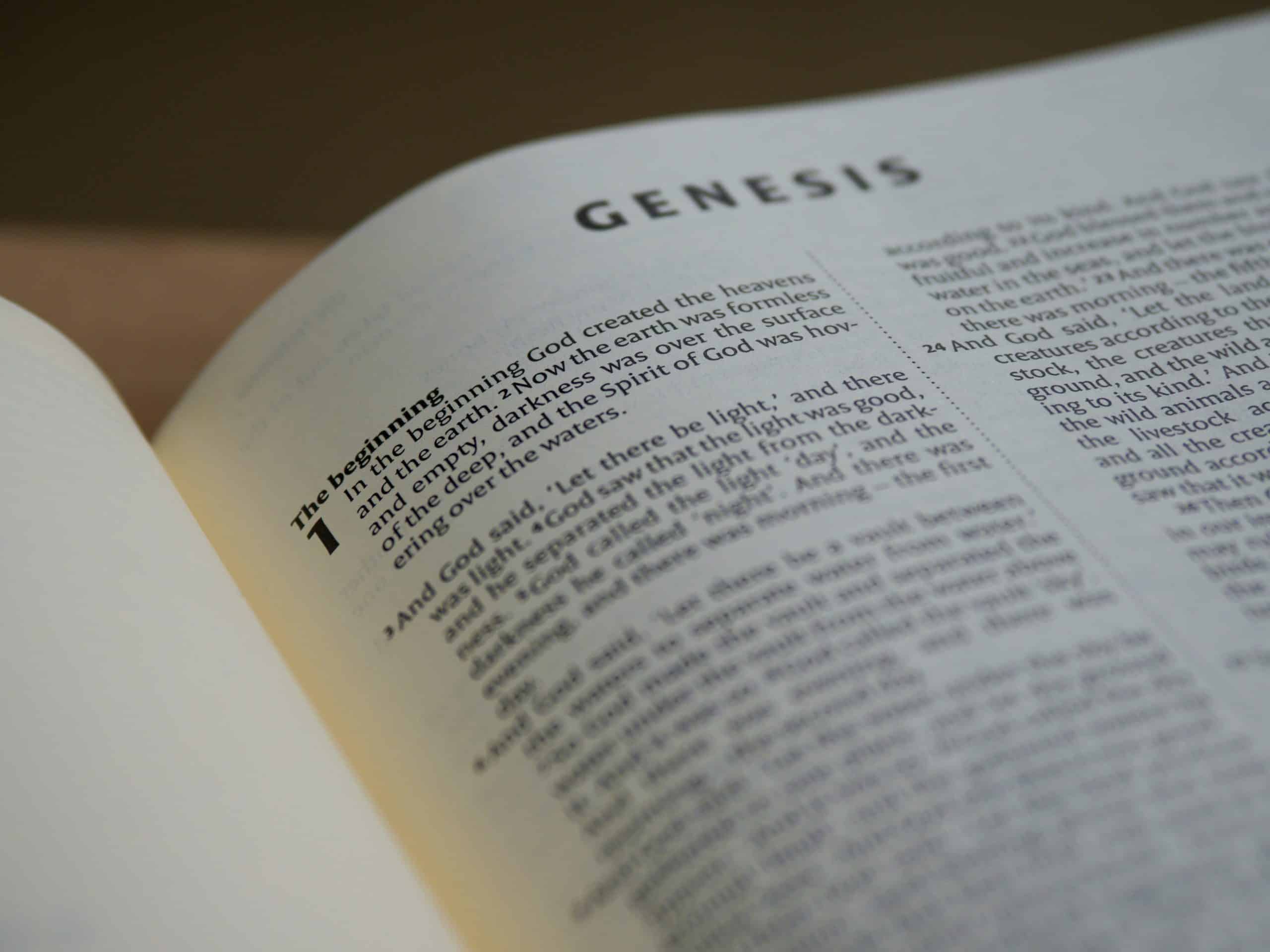 a-fascinating-book-of-genesis-summary-beginner-friendly-guide